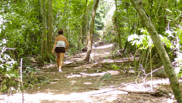 promenade sous les bois à La commune Le Diamant et ses alentours dans le sud de la Martinique