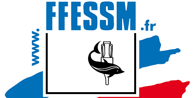 logo ffessm