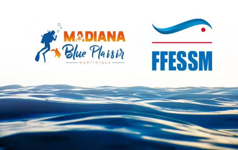 Plongez au cœur de la mer des caraïbes avec la FFESSM et le club Madiana Blue Plaisir