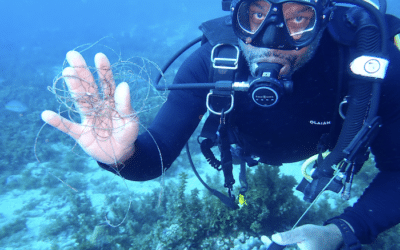 Prenons soins des fonds marins de la Martinique !