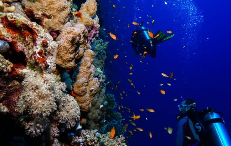 Formation plongée sous marine niveau 3 en Martinique