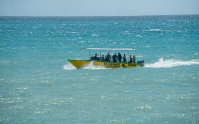 Escapade plongée au Diamant : 2 nuits + 2 plongées pour une parenthèse inoubliable