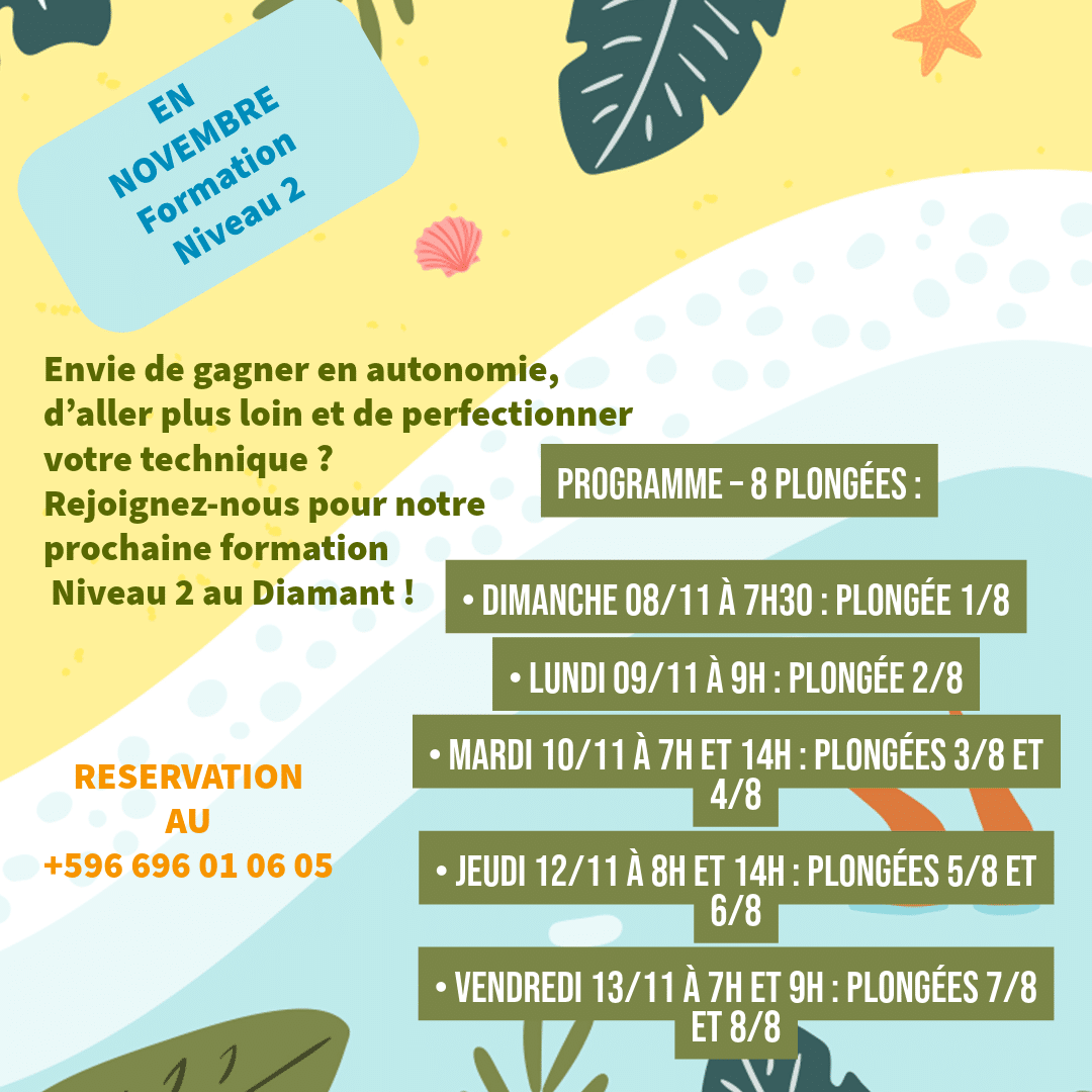 Formation Plongée Niveau 2 en Martinique – Novembre 2026