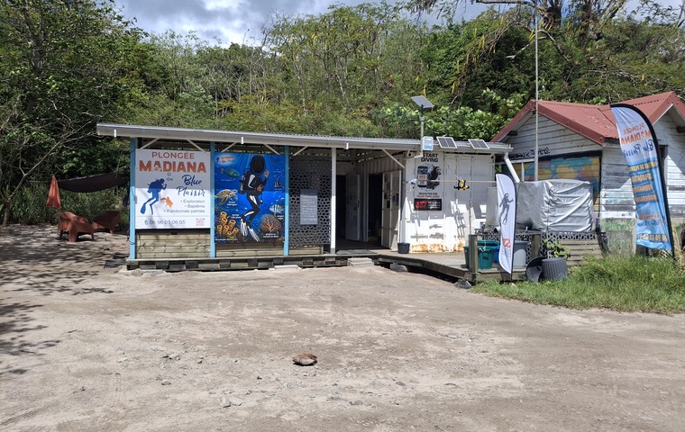 Madiana Blue Plaisir, un club de plongée éco-responsable en Martinique